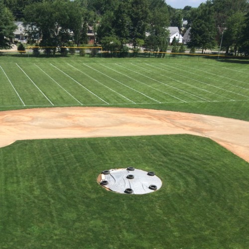 Turf Grass Formulation